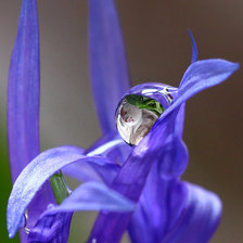 Схема вышивки «))))))))))»