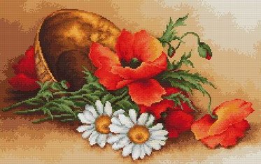 маки и ромашки - цветы, ромашки, маки - оригинал