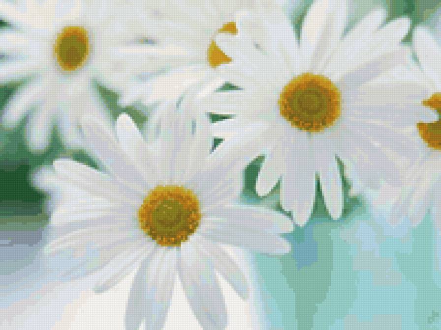 floare - предпросмотр