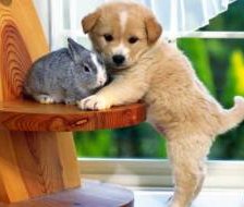 Схема вышивки «друзья»