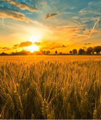 природа - оригинал