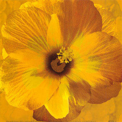 floare - оригинал