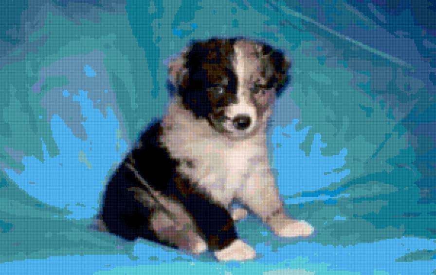 щенок - животное - предпросмотр