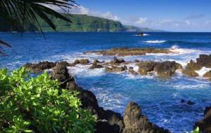 остров - остров, пальмы, океан - оригинал