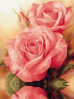 №23570 - оригинал