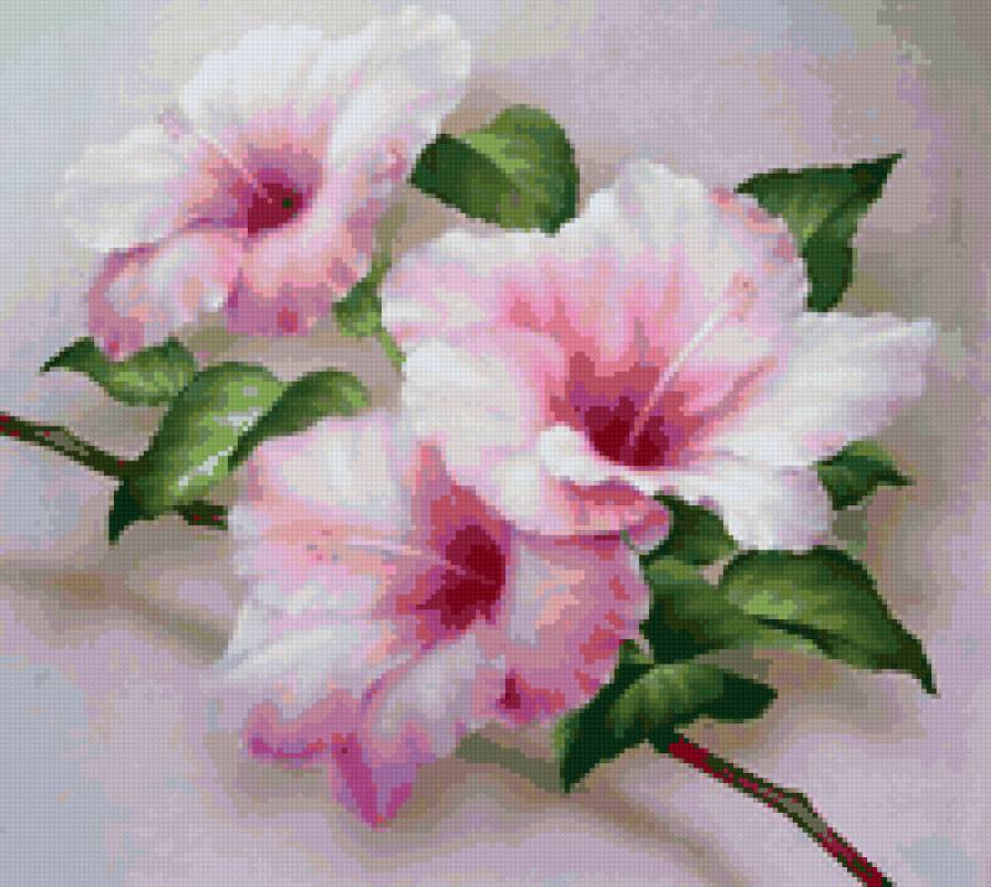 floare - предпросмотр