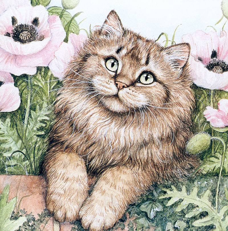 киса - кот - оригинал