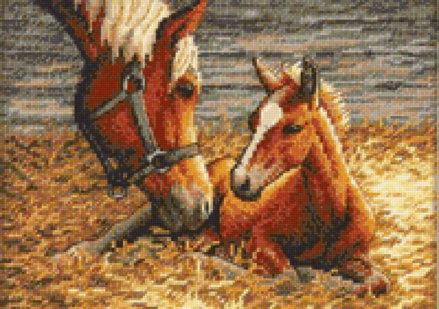 Жеребёнок - малыши, детки, лошадки, жеребенок, рядом с мамочкой, животные - предпросмотр