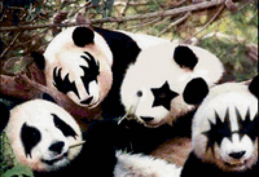 панды Kiss - предпросмотр