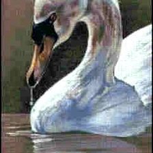 Схема вышивки «Лебедь»