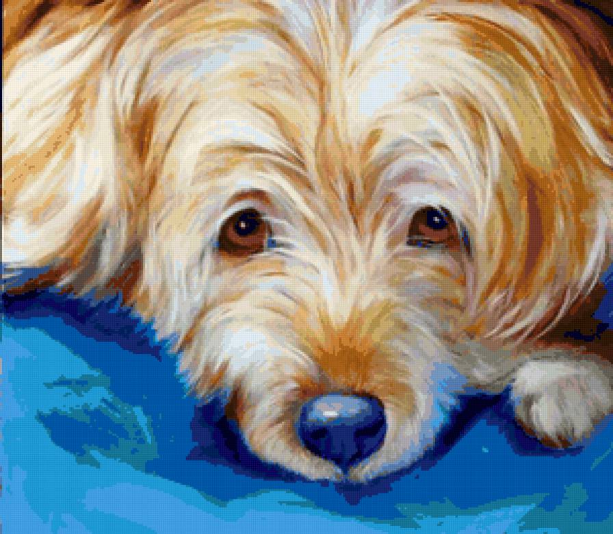 Песик - собака - предпросмотр