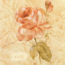 Схема вышивки «винтажные розы»