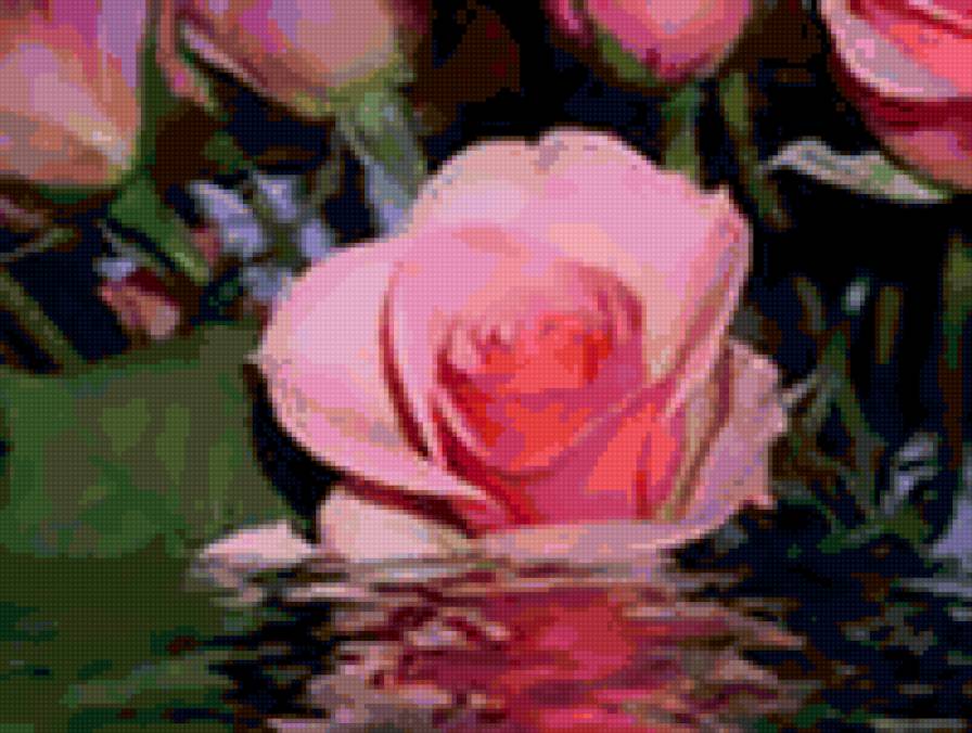 Роза в воде - предпросмотр