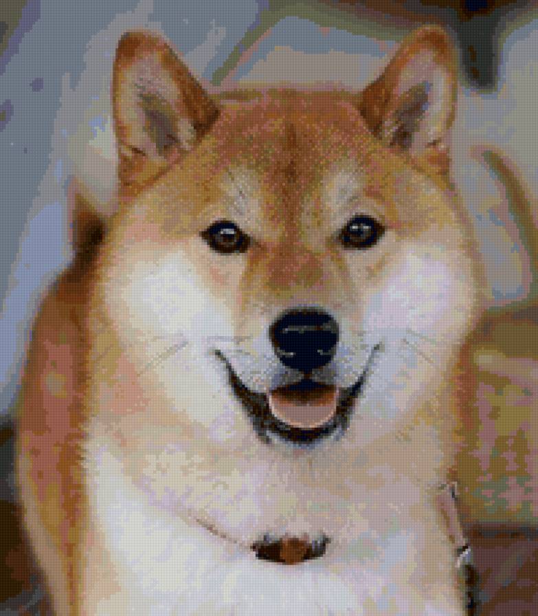 №6756745 - щенок, пес, собака - предпросмотр