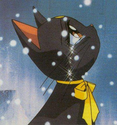 кошка - кошка, аниме - оригинал