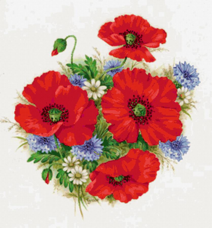 Яркий красивый букетик) - васельки, маки, букет, flowers, цветы - предпросмотр