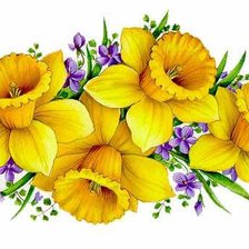 Схема вышивки «Нарциссы)»