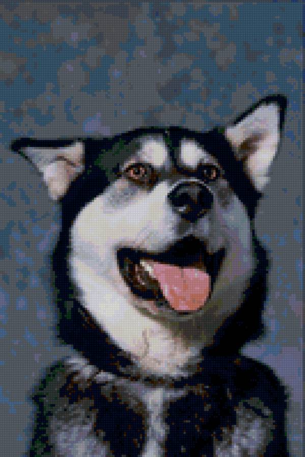 №24045 - собаки - предпросмотр