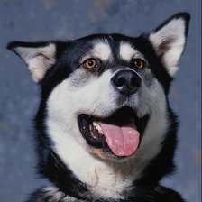 Схема вышивки «№24045»