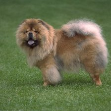 Схема вышивки «№24060»