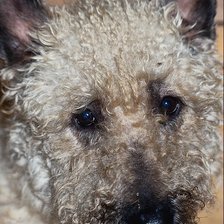 Схема вышивки «№24063»