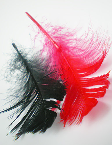 красное и черное - оригинал