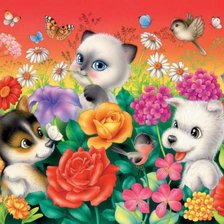 веселые картинки