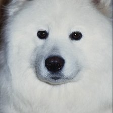 Схема вышивки «№24416»