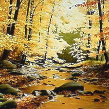 осенний свет