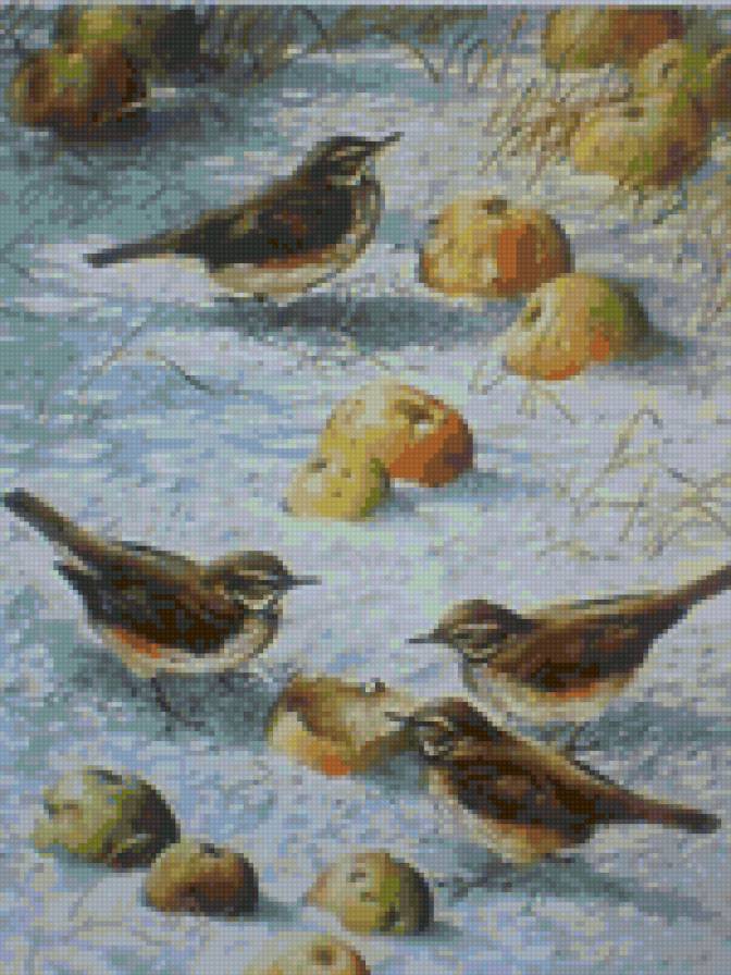 зимние яблочки - животные, природа - предпросмотр