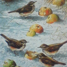 зимние яблочки