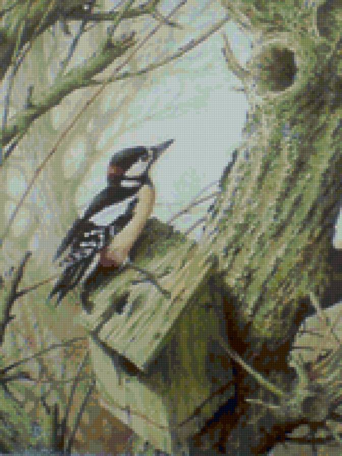 новый домик - природа, животные - предпросмотр