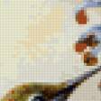 Предпросмотр схемы вышивки «Колибри» (№24622)