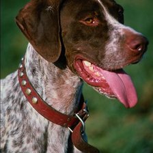 Схема вышивки «№24819»