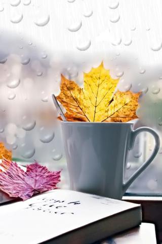 осень - природа, листья, солнце, осень, деревья, лес - оригинал