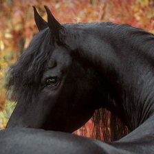 Схема вышивки «№25139»