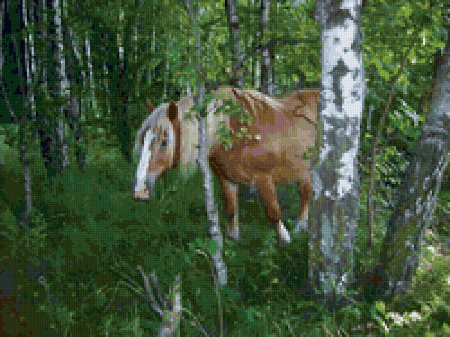 №25143 - животные, живопись, лошадь, картина, искусство, природа - предпросмотр