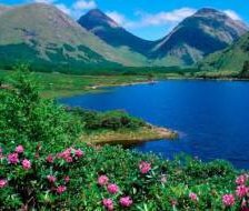 Схема вышивки «природа»