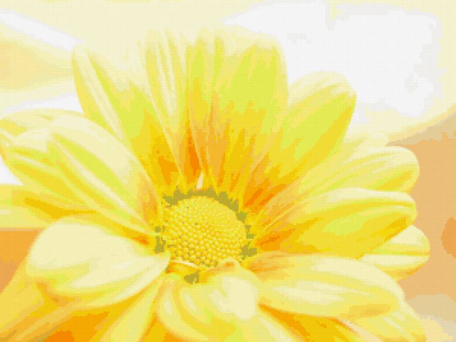 астра - цветы - предпросмотр