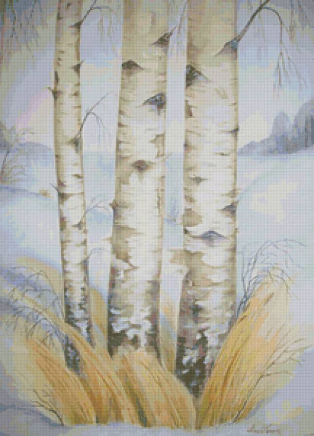 №25247 - пейзаж, березы - предпросмотр