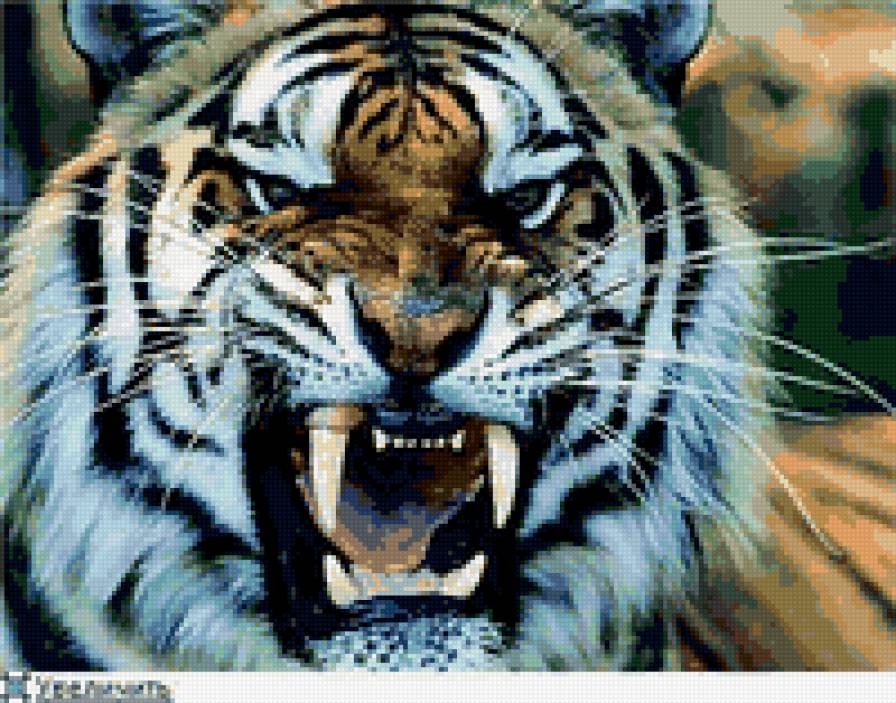 тигр - предпросмотр