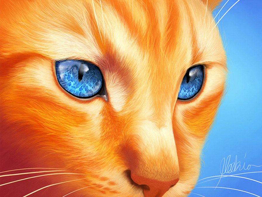 взгляд - кот, кошки, cat, коты - оригинал