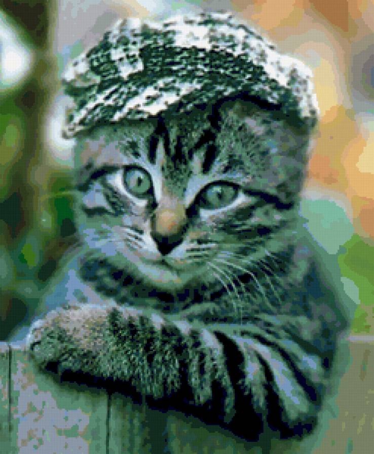 Шкет - юмор, кот - предпросмотр