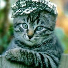 Схема вышивки «Шкет»