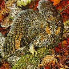 Схема вышивки «№25483»