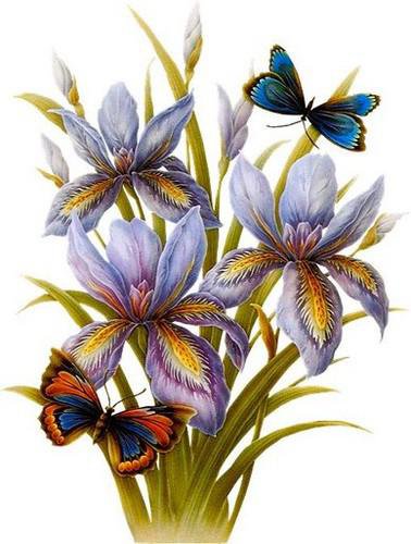 цветы - цветы - оригинал