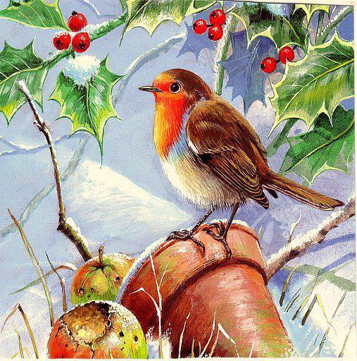 №25725 - животные, пейзаж, птицы - оригинал