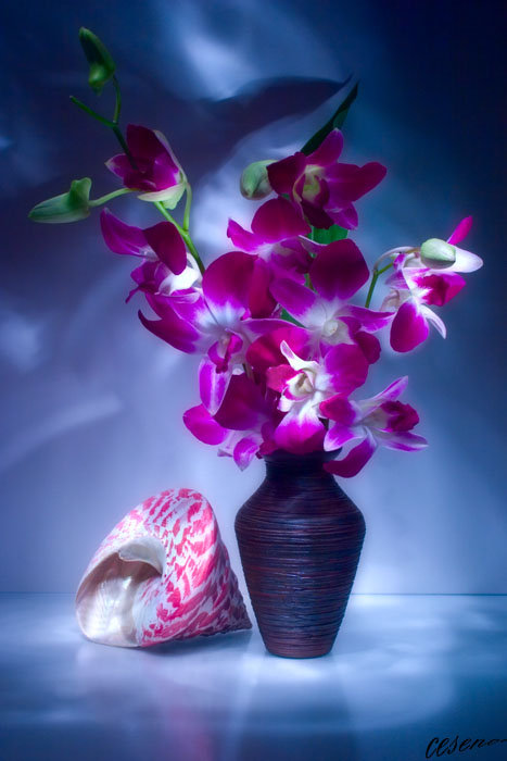 серия "букеты" - цветы.букет - оригинал