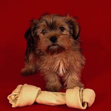 Схема вышивки «№25843»