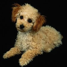 Схема вышивки «№25858»